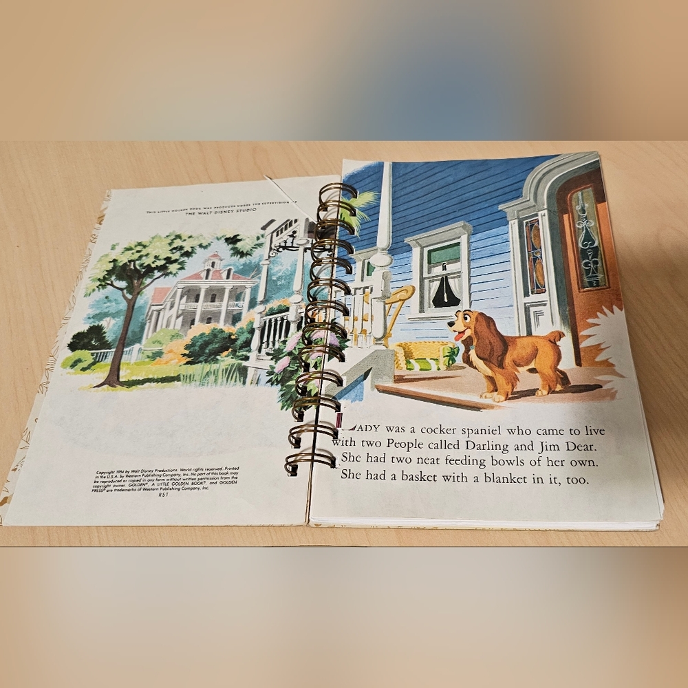 'Lady' Journal - Picture 2 of 5